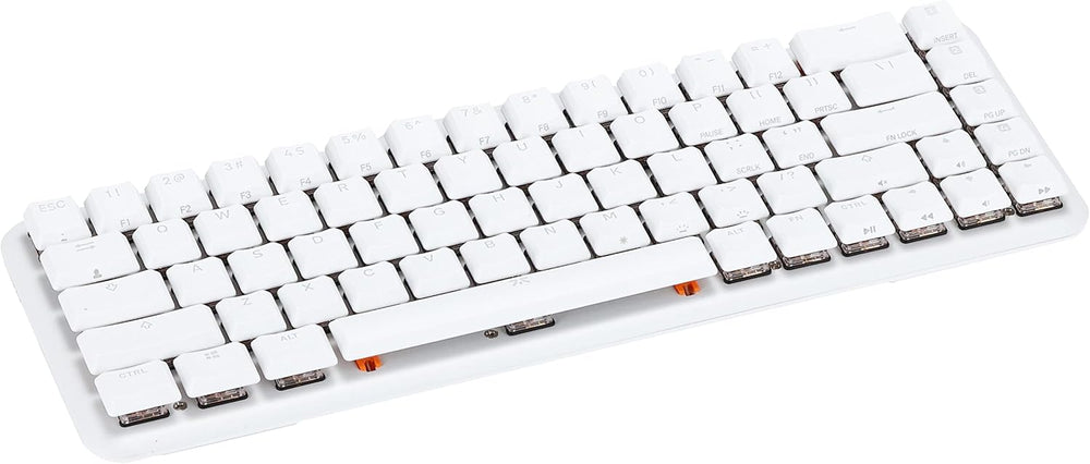 Fnatic STREAK65 LP | White | Compact RGB Gaming Mechanical Keyboard Speed Switche The Branded Hub