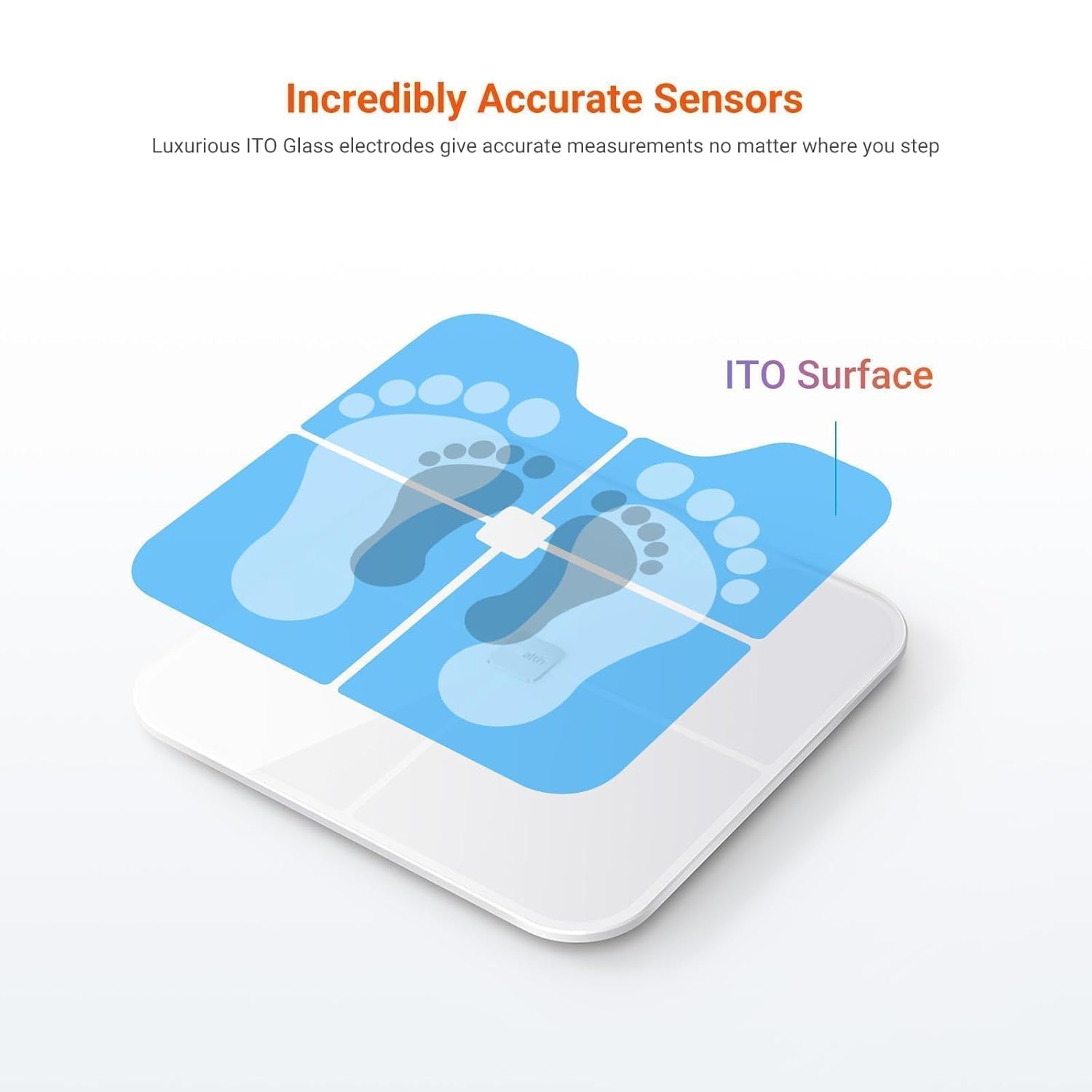 iHealth Nexus Smart Body Scale