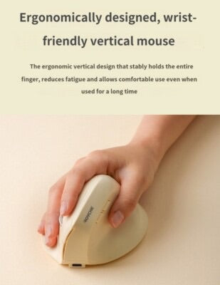 ROYCHE Low noisewireless Bluetooth Vertical Mouse with 3 multi-pairing, RX-680V The Branded Hub